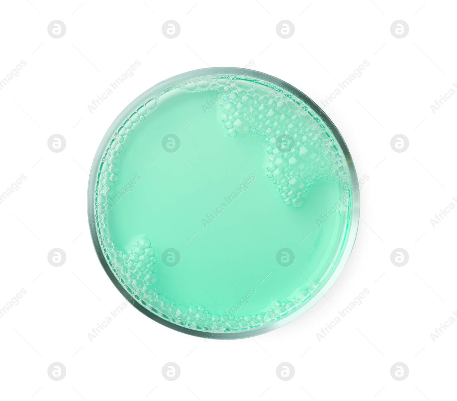 Photo of Petri dish with turquoise liquid sample on white background, top view