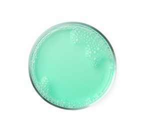 Petri dish with turquoise liquid sample on white background, top view