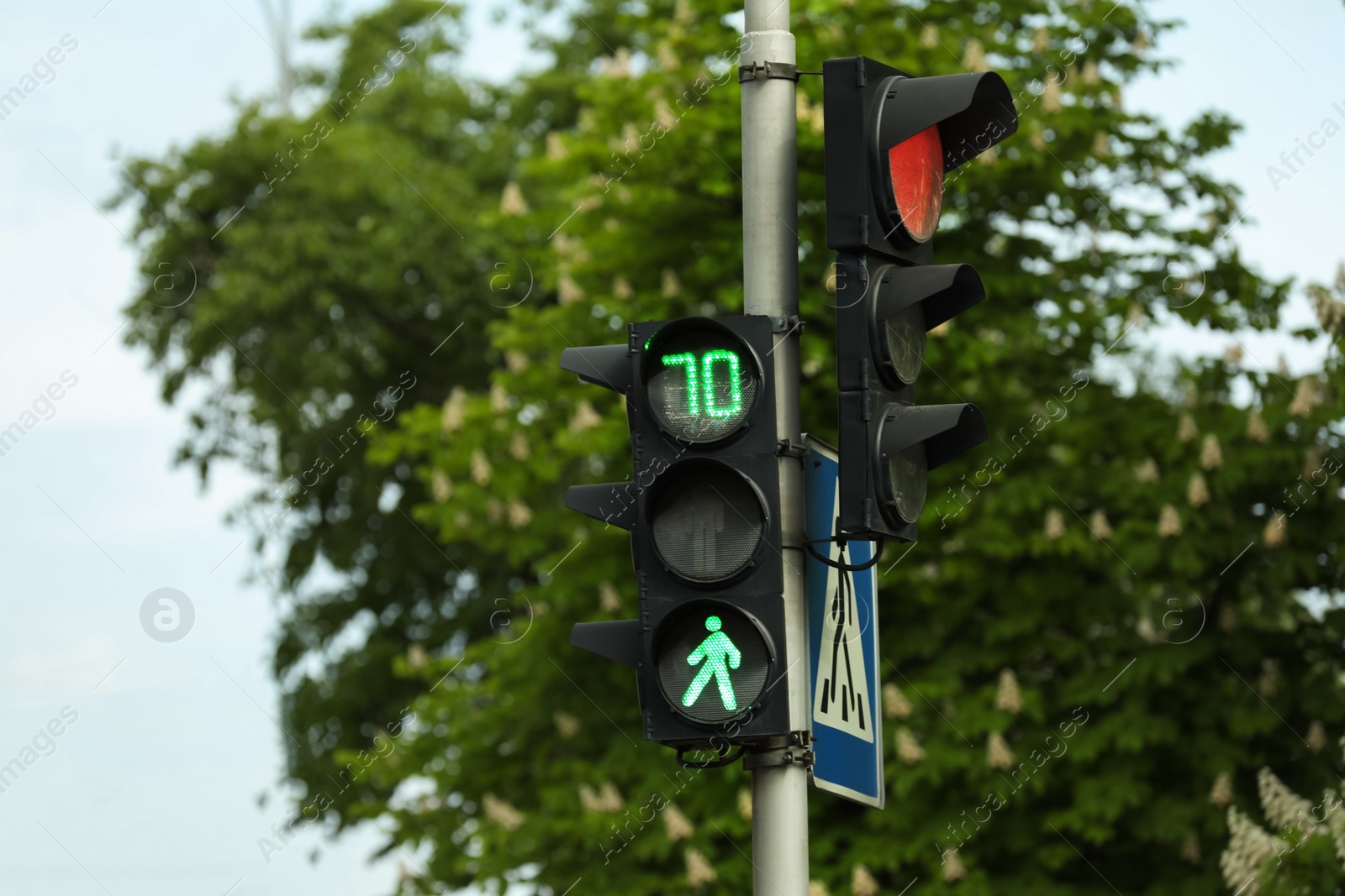 Photo of View of modern traffic lights on city street