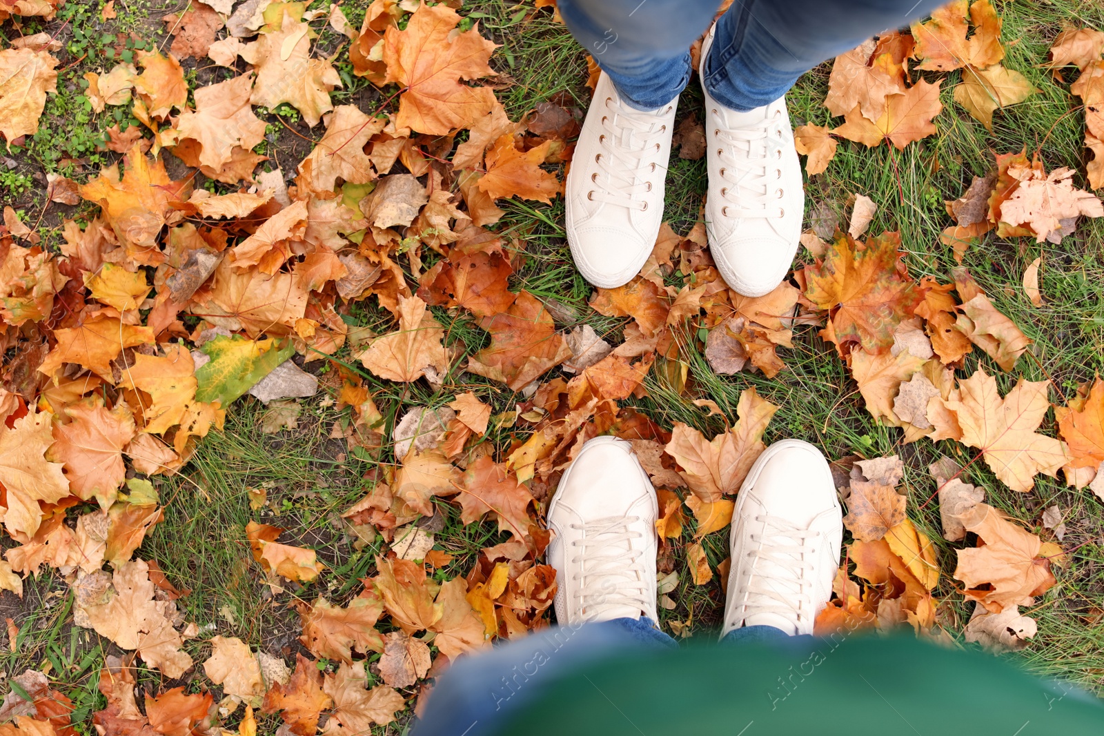 Photo of Couple standing on ground covered with leaves in park, above view. Autumn walk