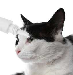 Image of Giving medical drops to cute cat on white background