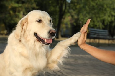 Woman and her Golden Retriever dog outdoors, closeup