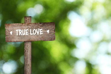 Image of Wooden plaque with inscription True Love outdoors, space for text 