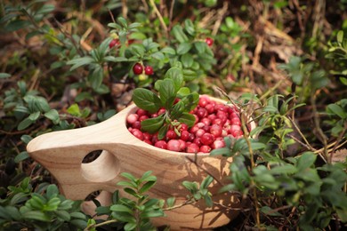 Photo of Many ripe lingonberries in wooden cup outdoors