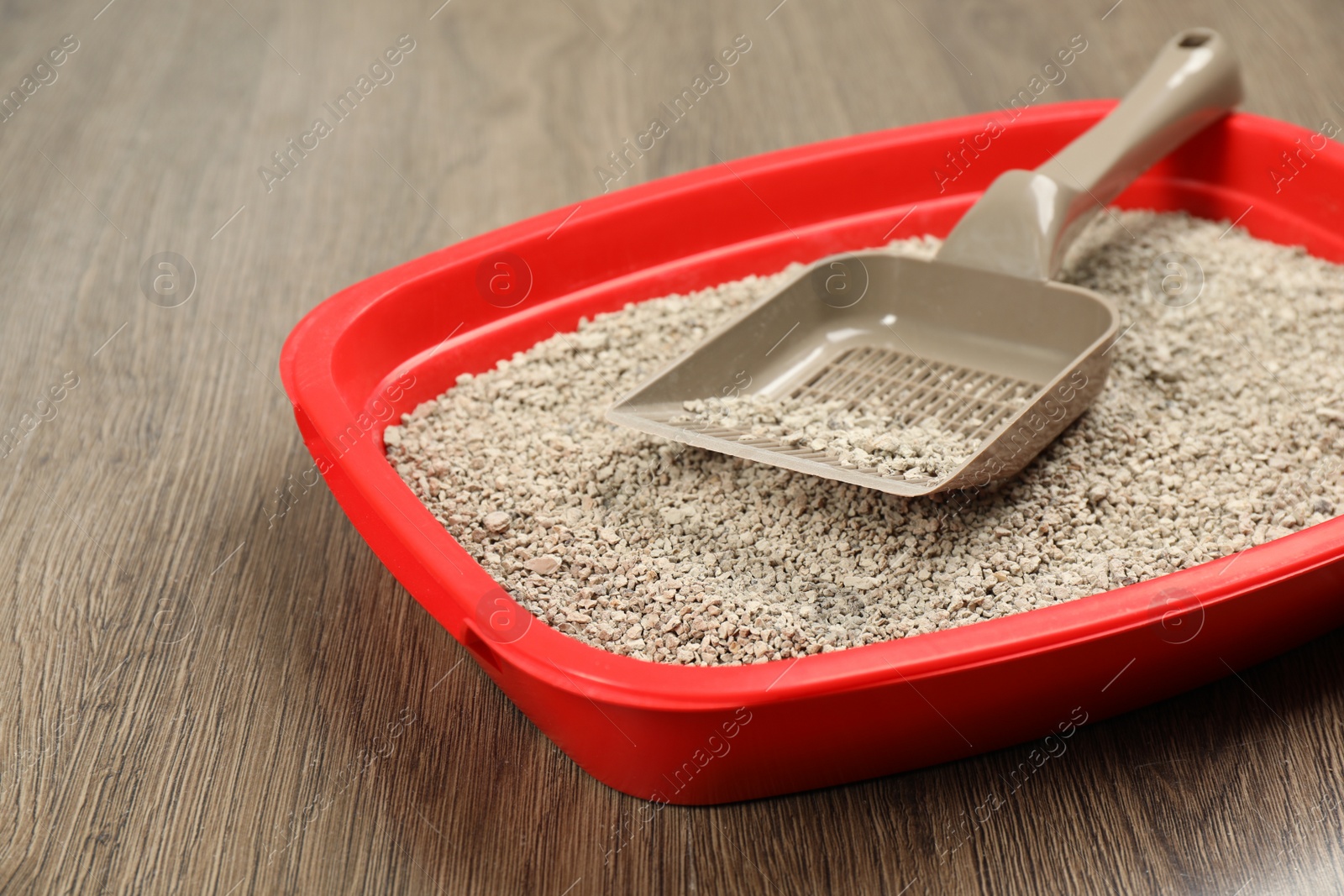 Photo of Cat litter tray with filler and scoop on wooden floor, closeup