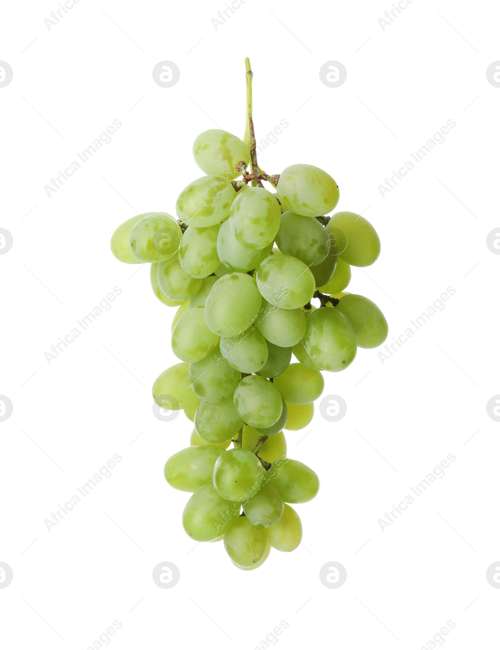 Photo of Fresh ripe juicy grapes isolated on white