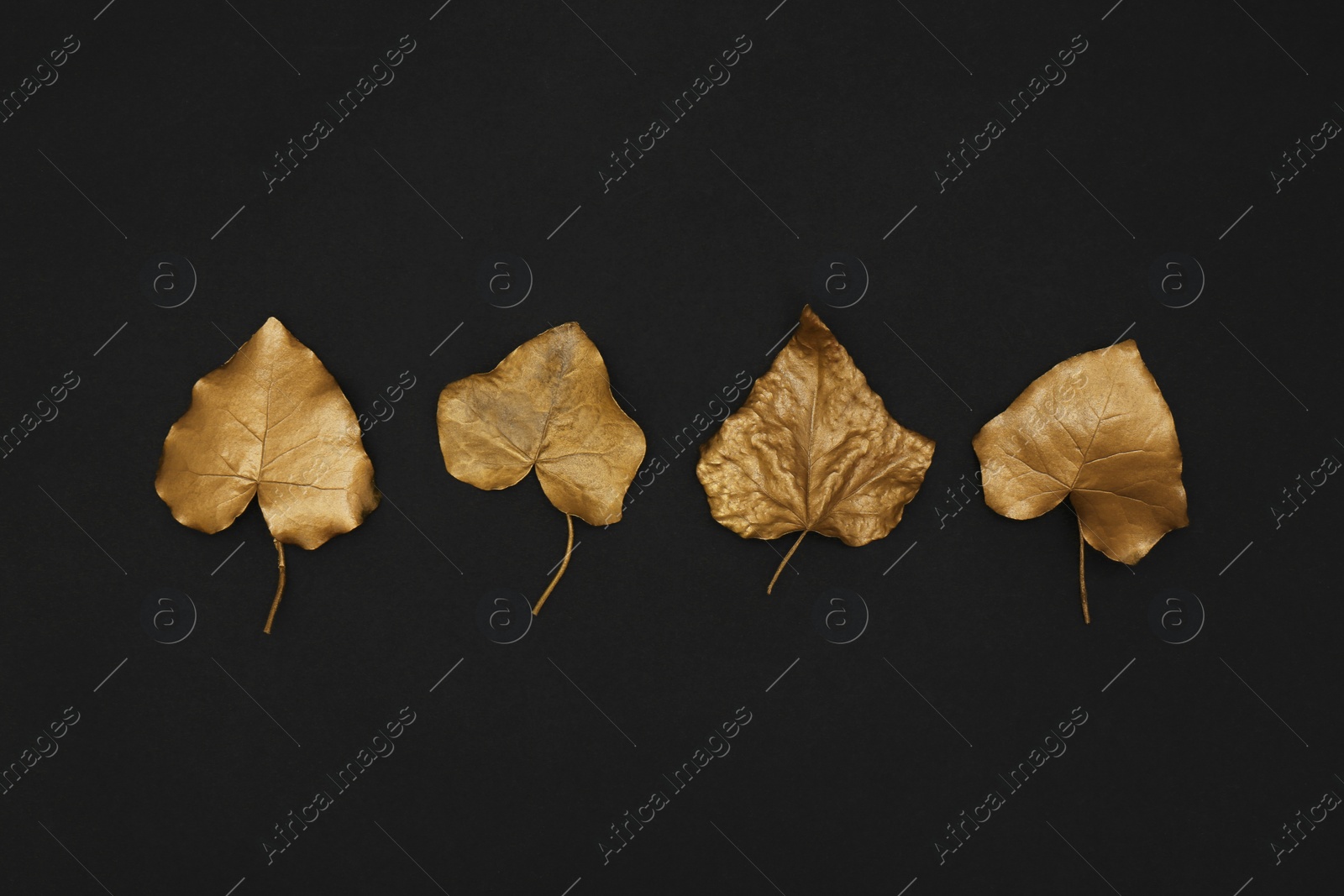 Photo of Gold painted autumn leaves on black background, flat lay