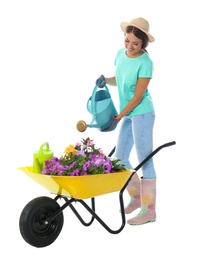 Female gardener watering plants in wheelbarrow on white background