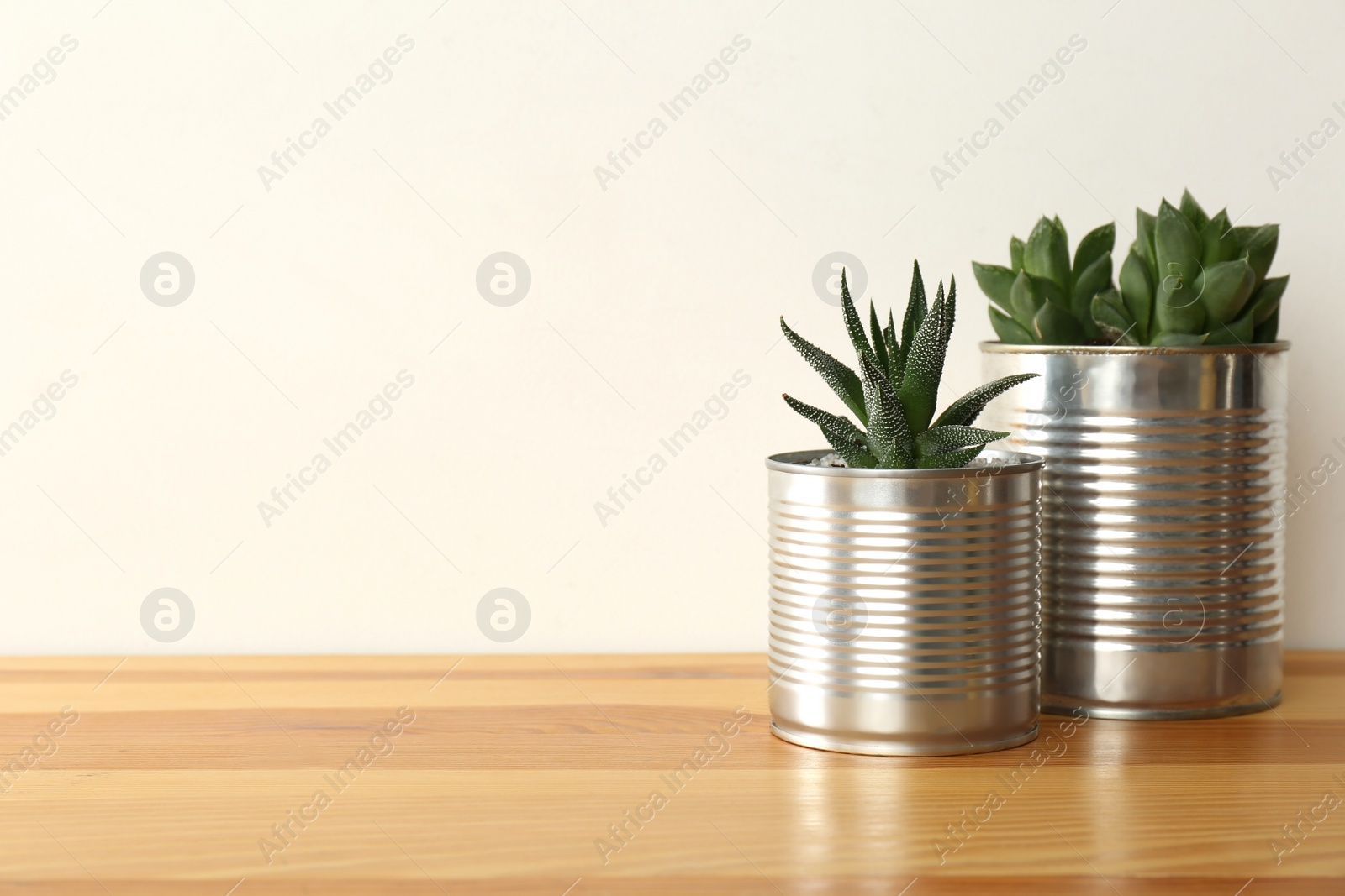 Photo of Houseplants in tin cans on wooden table. Space for text