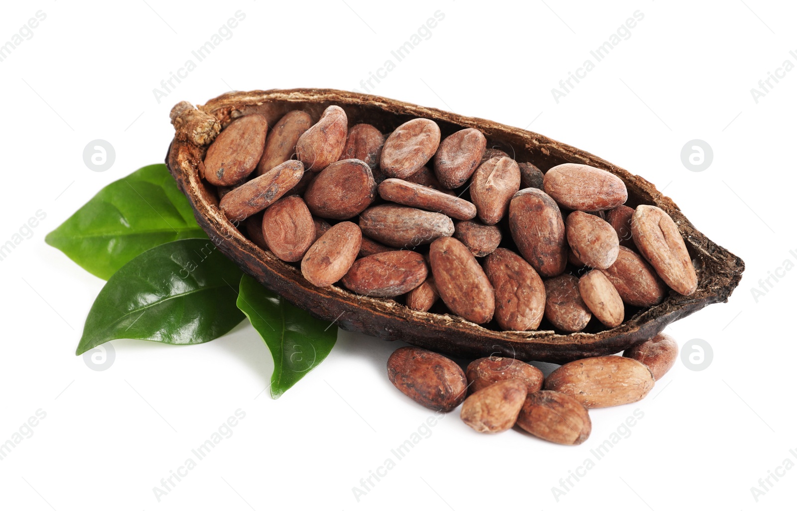 Photo of Composition with cocoa beans on white background