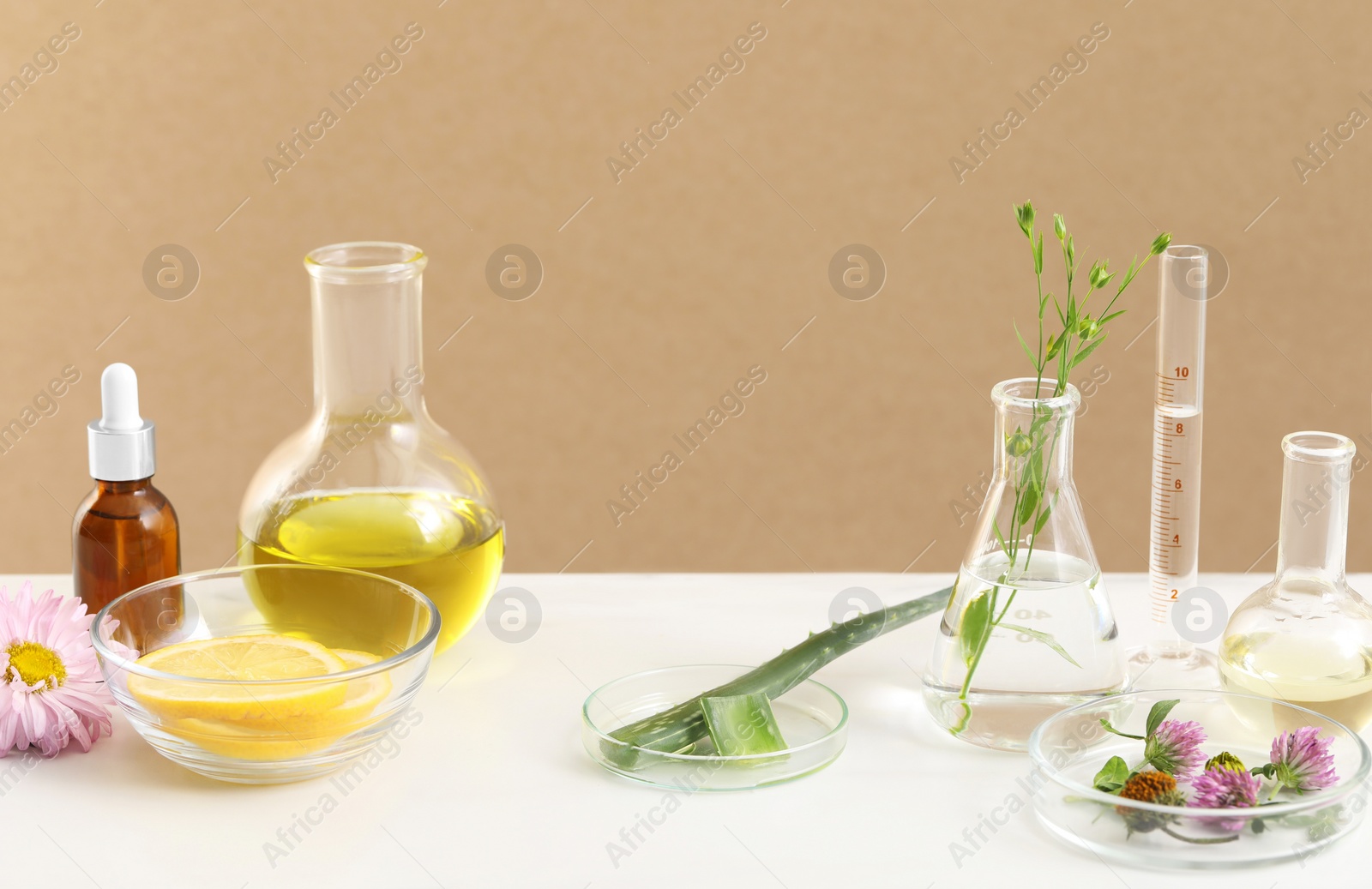 Photo of Developing cosmetic oil. Laboratory glassware and flowers on white table