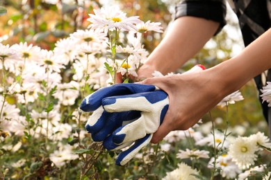 Photo of Woman holding protective gloves near flowers in garden, closeup