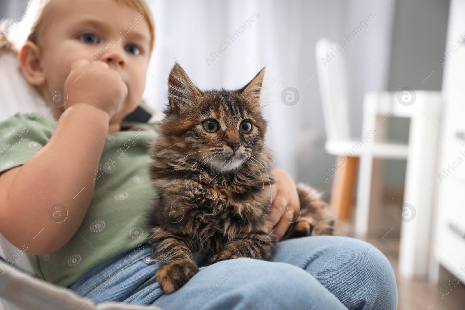 Photo of Cute little child with adorable pet sitting in armchair at home