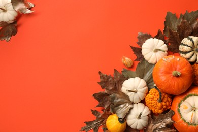 Photo of Flat lay composition with different ripe pumpkins on red background. Space for text