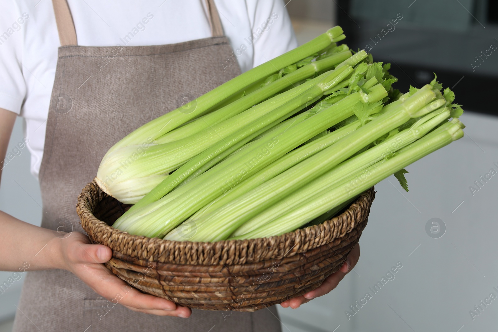 Photo of Woman holding wicker basket with fresh green celery in kitchen, closeup