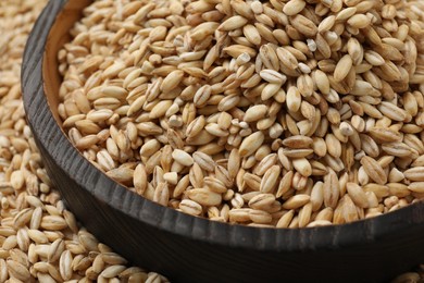 Pearl barley in bowl on dry grains, closeup