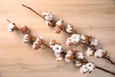 Dry cotton branches with fluffy flowers on wooden background, flat lay