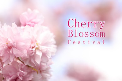 Image of Cherry Blossom Festival. Beautiful blossoming pink sakura tree outdoors