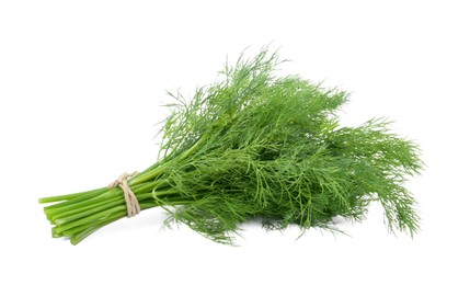 Photo of Bunch of fresh dill isolated on white