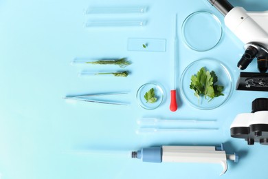 Food Quality Control. Microscope, petri dishes with parsley and other laboratory equipment on light blue background, flat lay