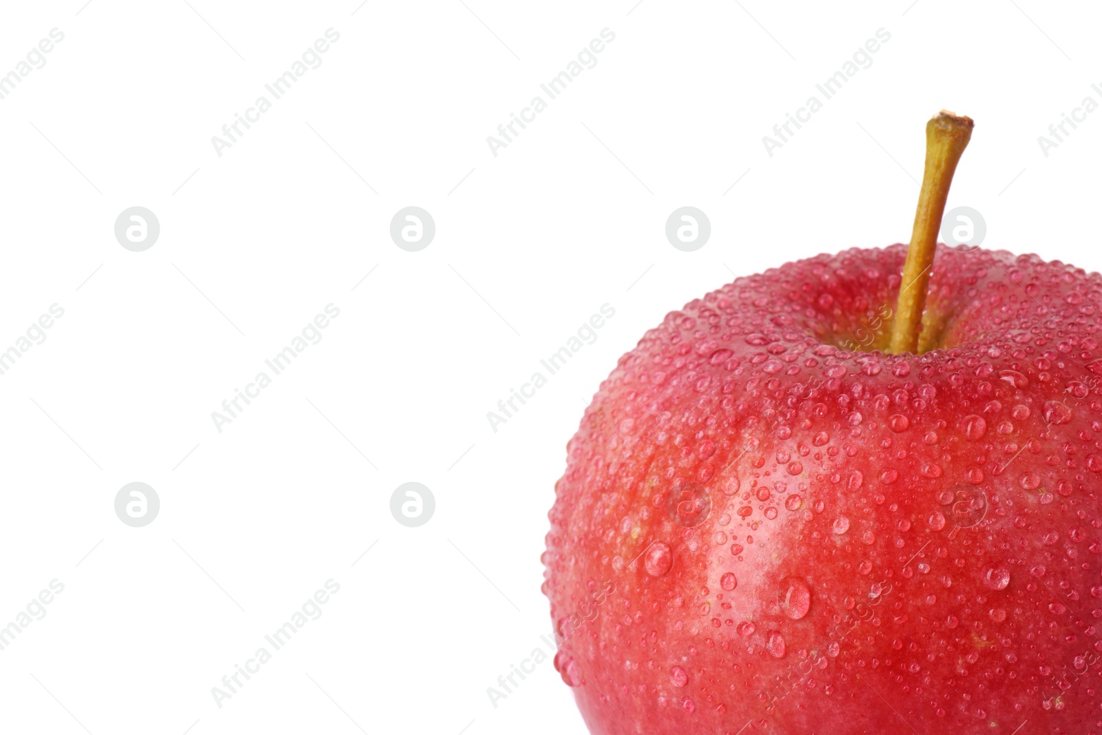 Photo of One ripe red apple with water drops isolated on white