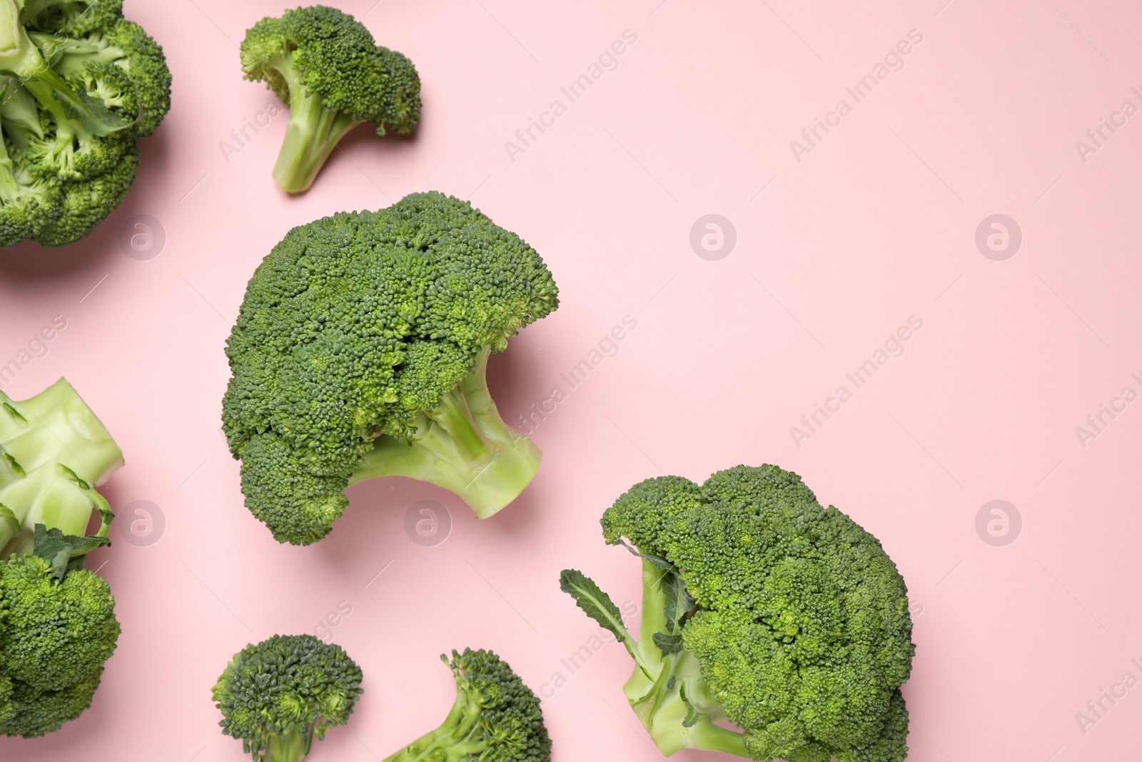 Photo of Fresh broccoli on pink background, flat lay. Space for text