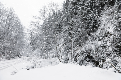 Picturesque view of road near snowy forest on winter day