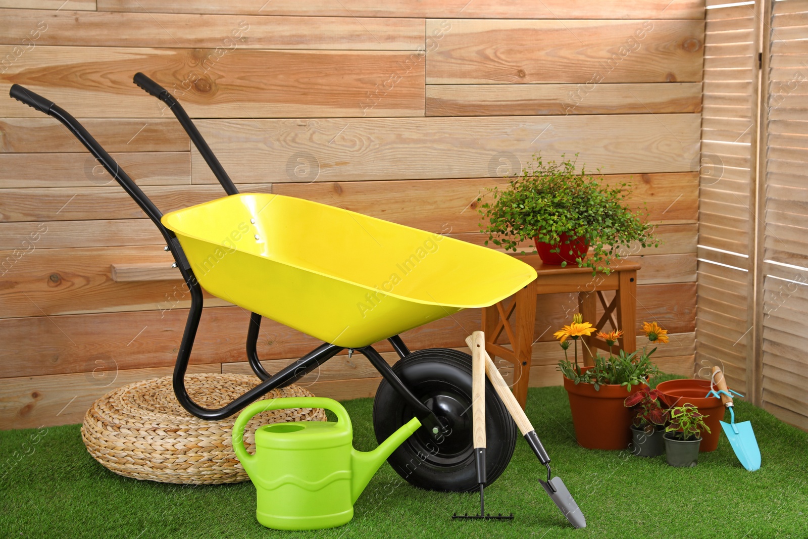 Photo of Wheelbarrow with gardening tools and flowers near wooden wall