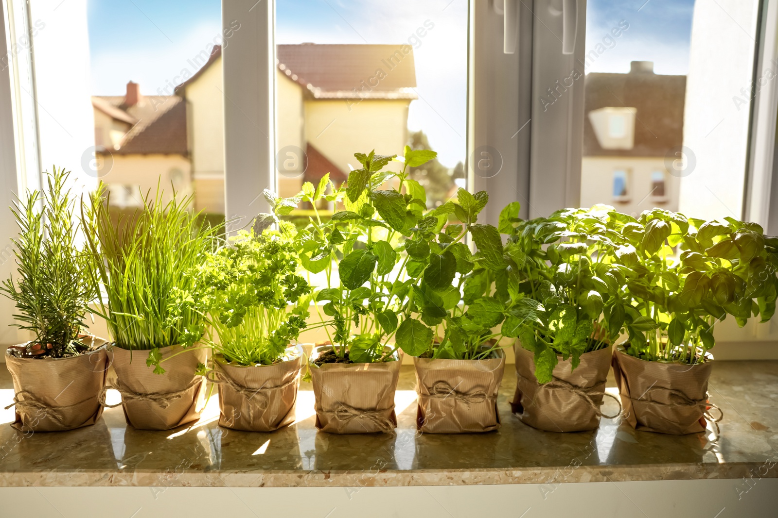 Photo of Different aromatic potted herbs on windowsill indoors