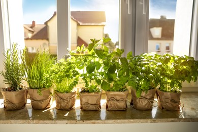 Photo of Different aromatic potted herbs on windowsill indoors