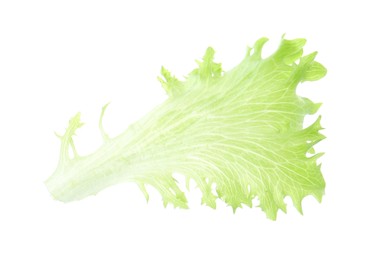 Leaf of fresh lettuce for burger isolated on white