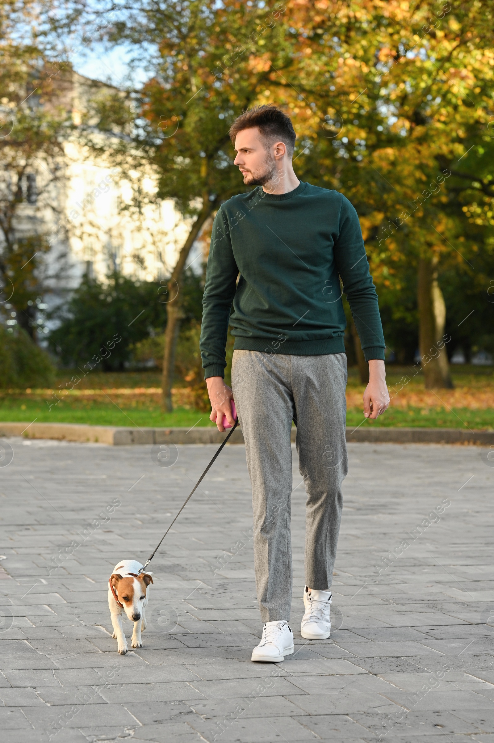 Photo of Man with adorable Jack Russell Terrier on city street. Dog walking