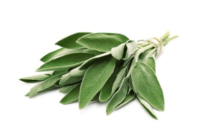 Bunch of fresh sage isolated on white