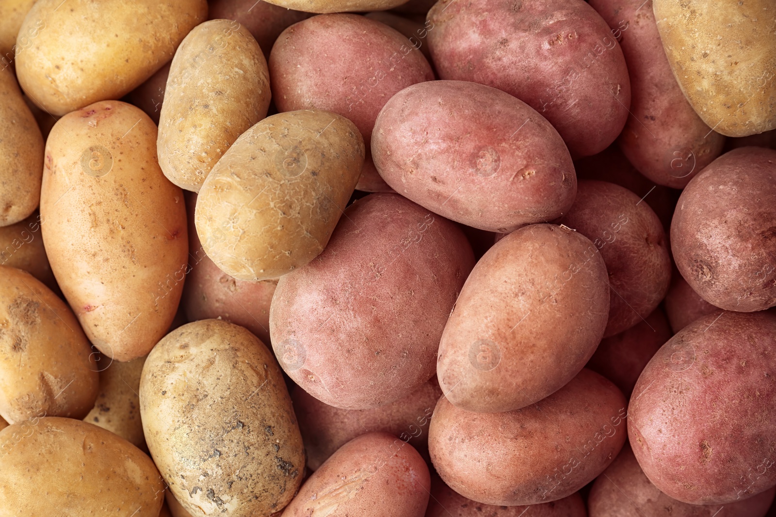 Photo of Fresh ripe organic potatoes as background, top view