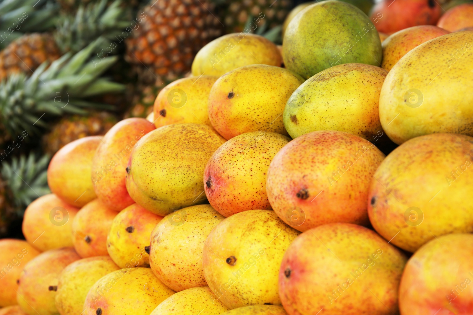 Photo of Pile of delicious ripe yellow mangoes, closeup