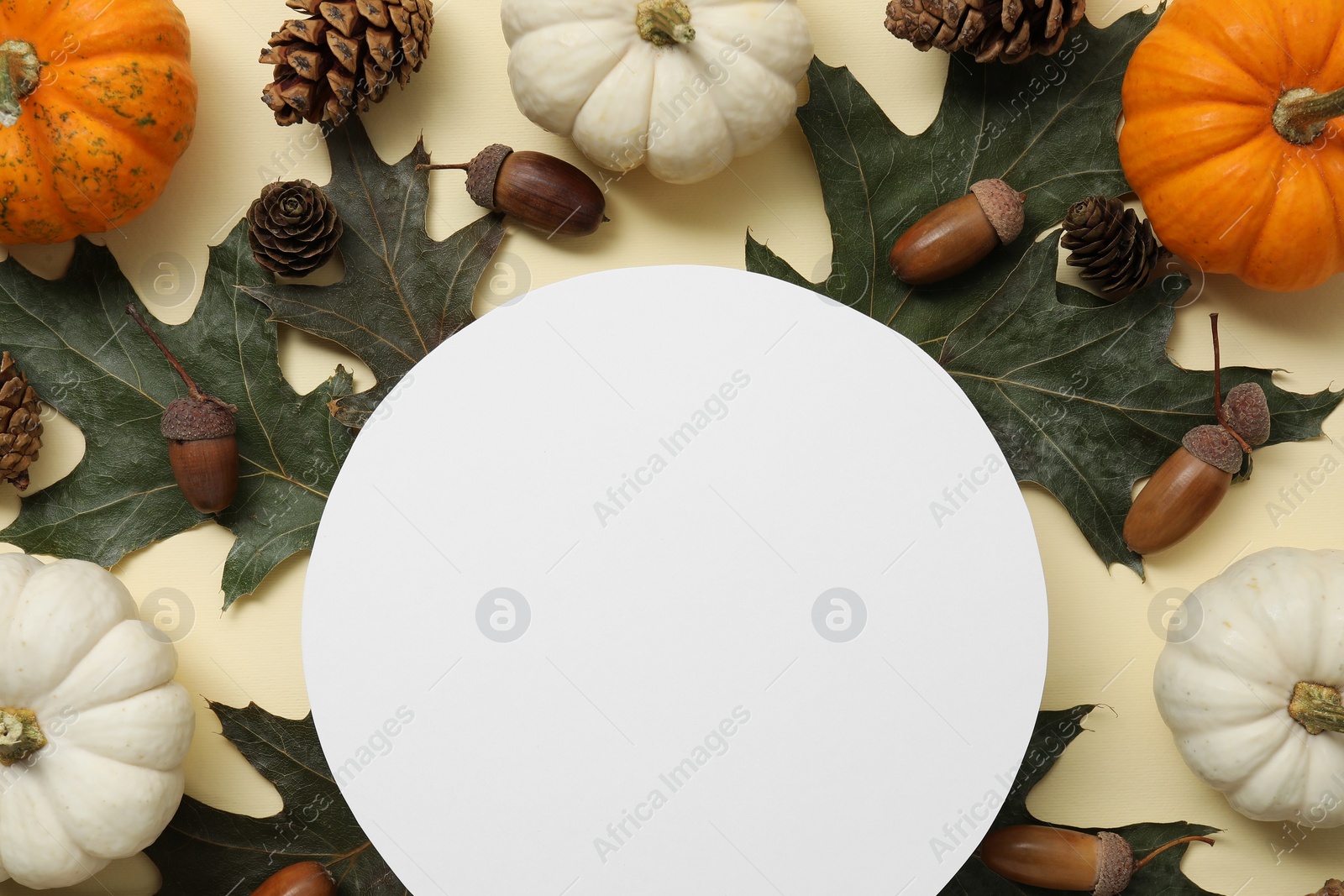 Photo of Thanksgiving day. Flat lay composition with pumpkins and blank card on beige background, space for text