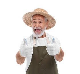 Harvesting season. Happy farmer showing thumbs up on white background