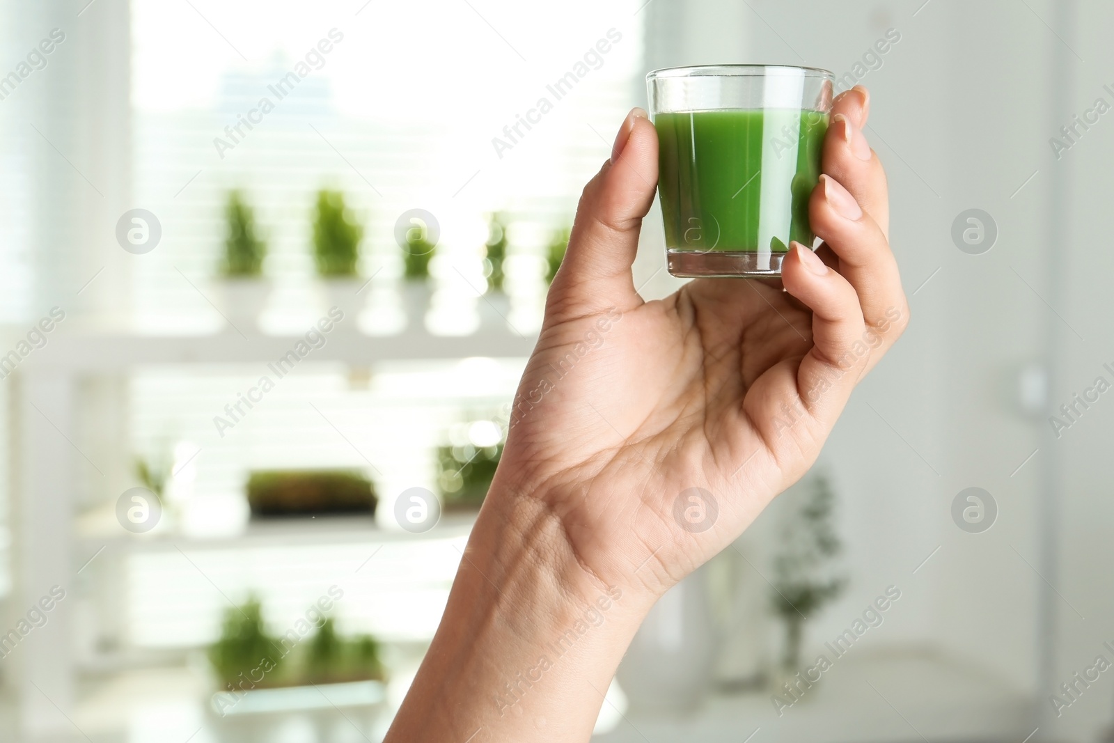 Woman holding shot glass of wheat grass juice indoors, closeup Photo of Woman holding shot glass of wheat grass juice indoors, closeup