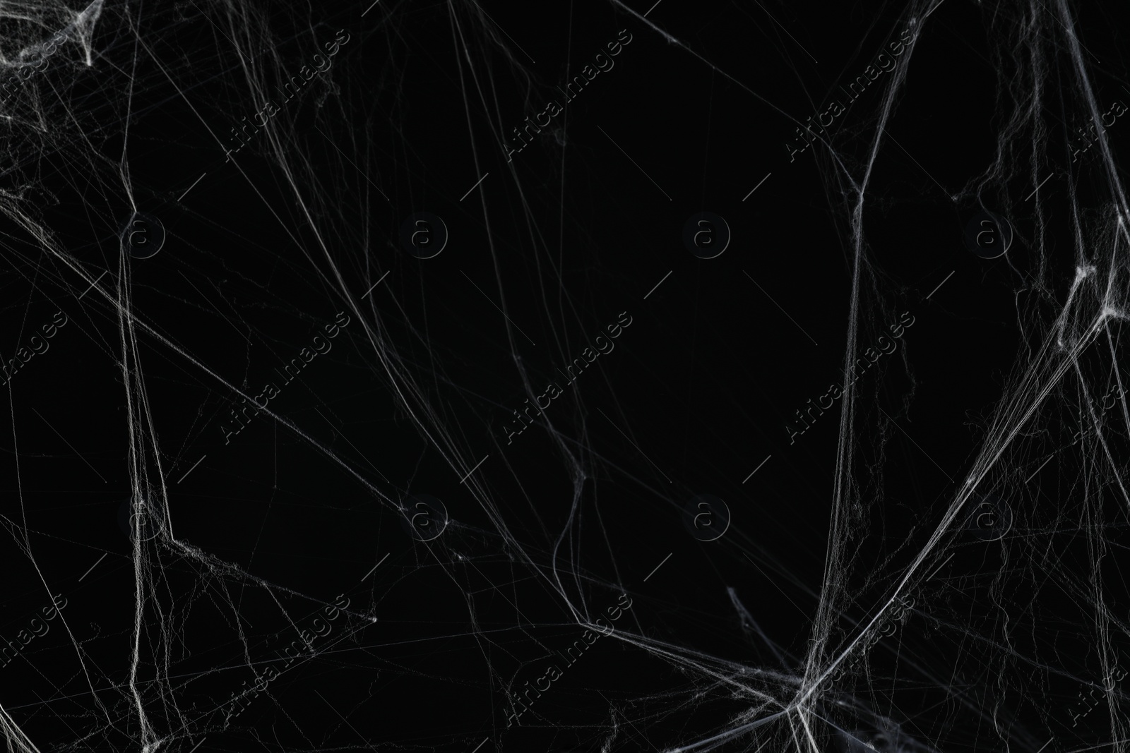 Photo of Creepy white spider web on black background