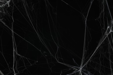 Creepy white spider web on black background