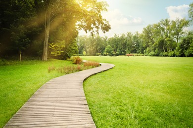 Photo of Beautiful public city park with pathway and green grass