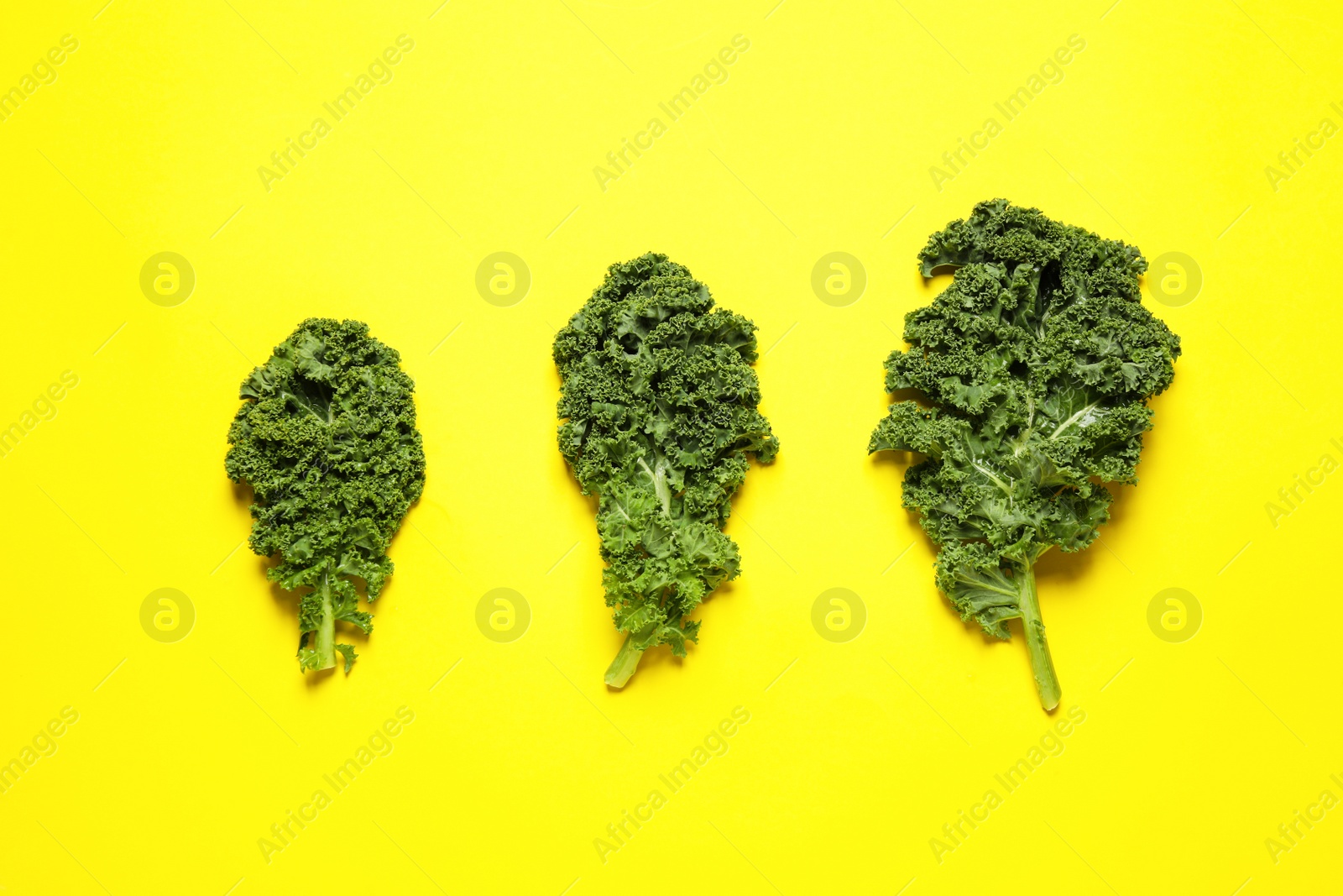 Photo of Fresh kale leaves on yellow background, flat lay