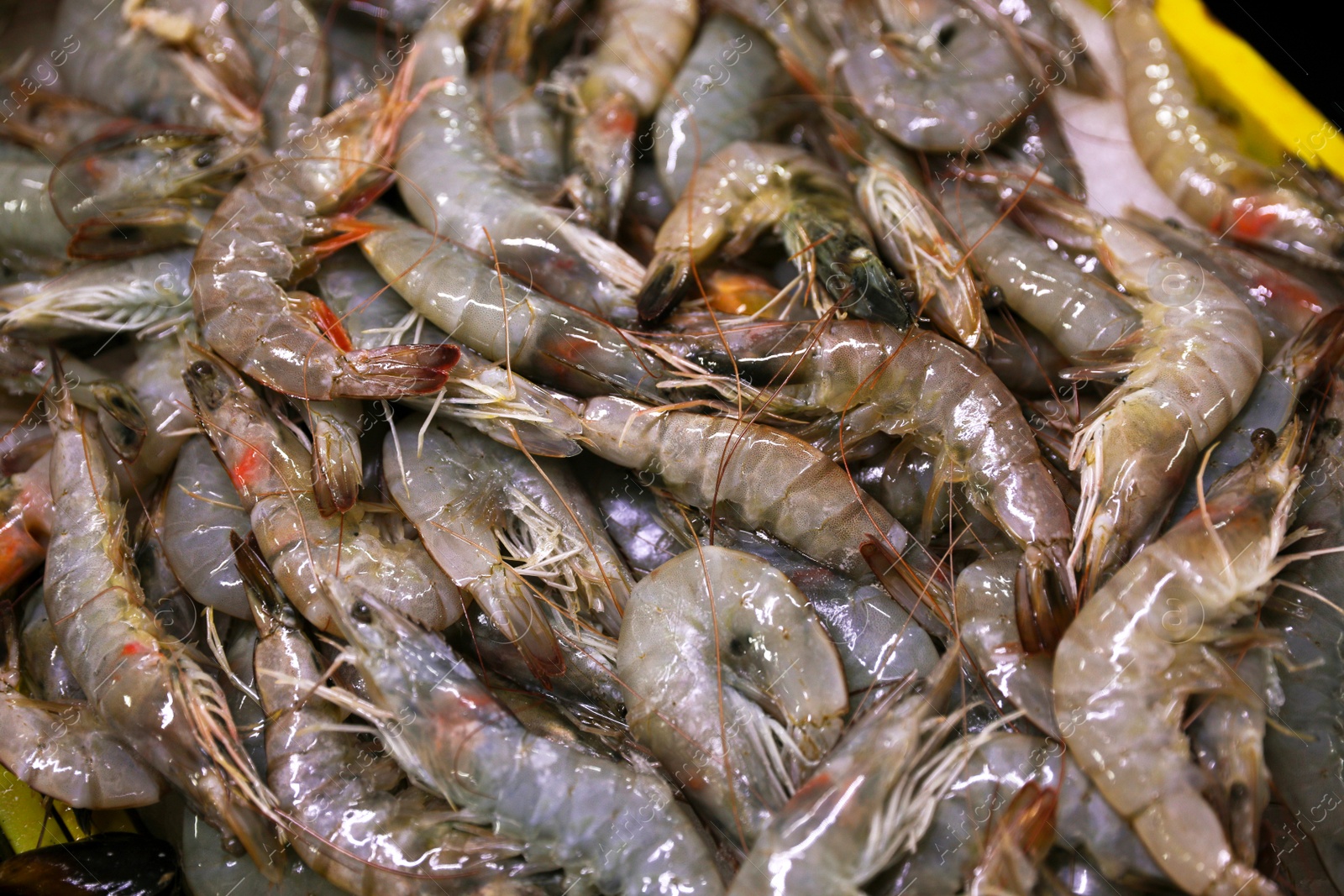 Photo of Many fresh raw shrimp as background, closeup