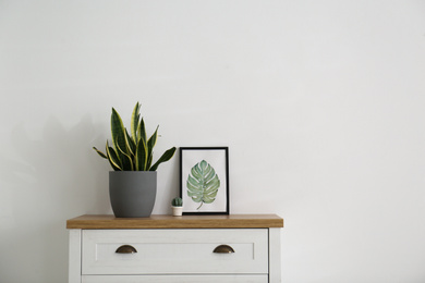 Photo of Chest of drawers and houseplant in stylish living room