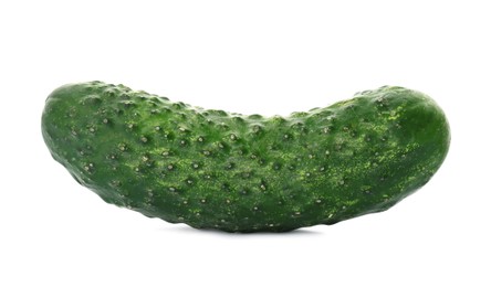 Photo of One fresh ripe cucumber on white background