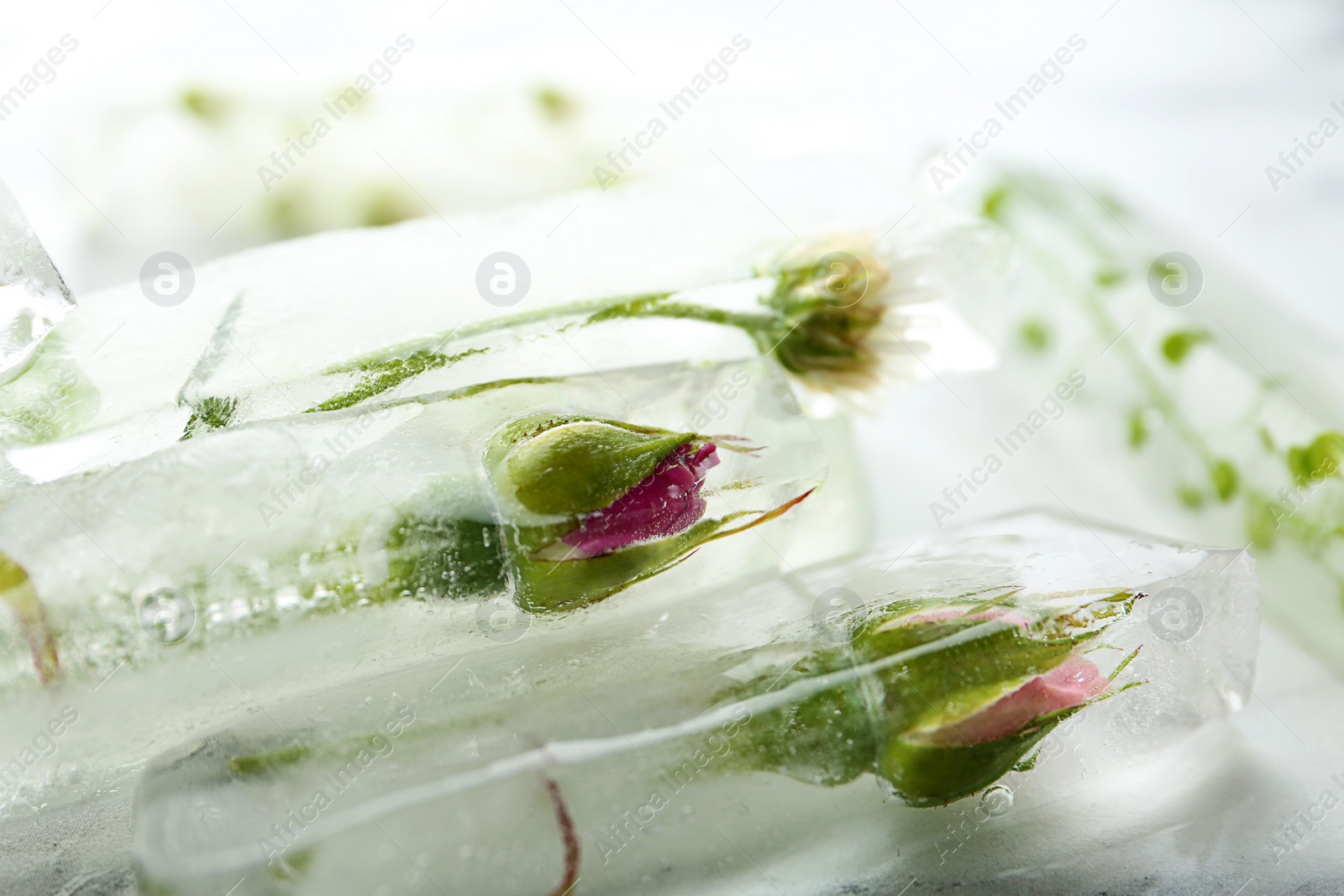 Photo of Ice cubes with flowers on marble background, closeup