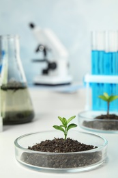 Photo of Petri dish with soil and sprouted plant on white table. Biological chemistry