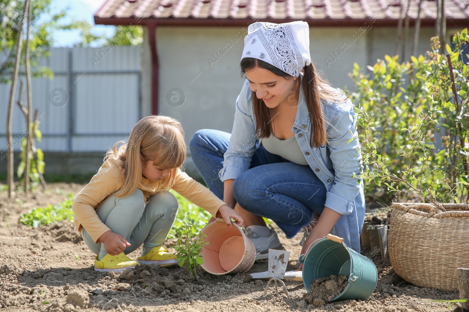 Photo of Mother and her cute daughter planting tree together in garden