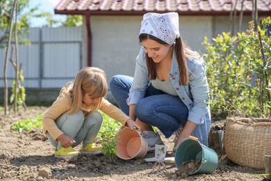 Mother and her cute daughter planting tree together in garden