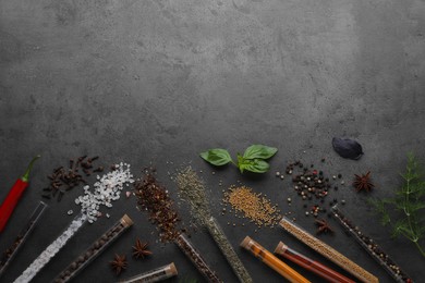 Flat lay composition with various spices, test tubes and fresh herbs on grey background. Space for text
